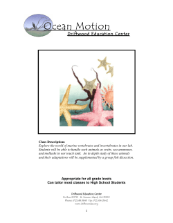 Ocean Motion - Driftwood Education Center