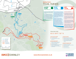 Mountain biking routes in Swinley Forest