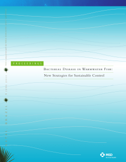 Bacterial Disease in Warmwater Fish: New Strategies for