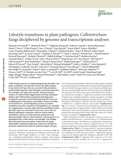Lifestyle transitions in plant pathogenic Colletotrichum fungi