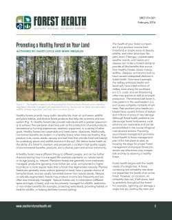Promoting a Healthy Forest on Your Land