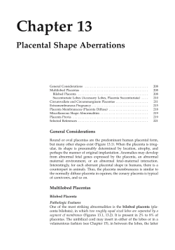 Chapter 13 Placental Shape Aberrations