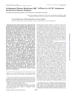 Leishmania Plasma Membrane Mg2 -ATPase Is a H /K