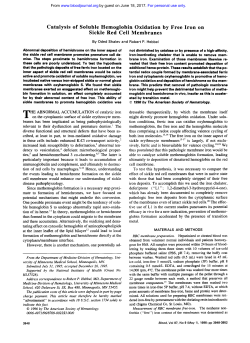 Catalysis of Soluble Hemoglobin Oxidation by Free