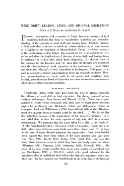 WIND DRIFT, LEADING LINES, AND DIURNAL MIGRATION