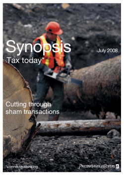 PwC Synopsis July 20087