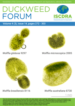 duckweed forum - Rutgers Duckweed Stock Cooperative