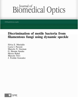 Discrimination of motile bacteria from filamentous fungi using