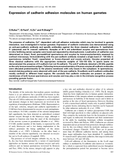 Expression of cadherin adhesion molecules on human gametes