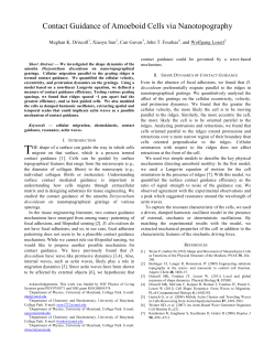 Contact Guidance of Amoeboid Cells via - q