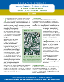 Executive Summary - James River Association