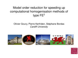 Model order reduction for speeding up computational