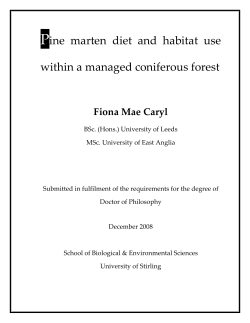 Pine marten diet and habitat use within a managed coniferous forest