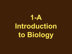 Introduction to Biology PPt