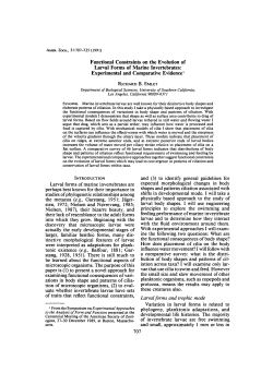 Functional Constraints on the Evolution of Larval Forms of Marine