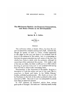 The Molluscan Radula: its Chemical Composition, and Some Points