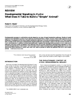Developmental Signaling in Hydra: What Does It Take to Build a