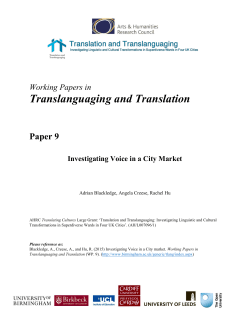 Investigating Voice in a City market