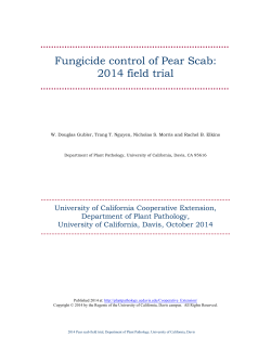 2014 Pear Scab Report - UC Davis Department of Plant Pathology