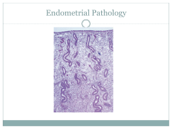 Endometrial Pathology - Virtual Pathology eLearning