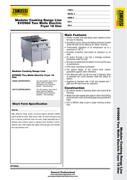 EVO900 Two Wells Electric Fryer 18 liter