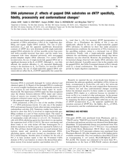 DNA polymerase &beta;: effects of gapped DNA substrates on dNTP