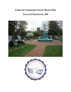 Forest Plan - Washington College