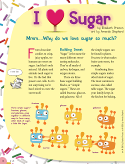 How Much Sugar?