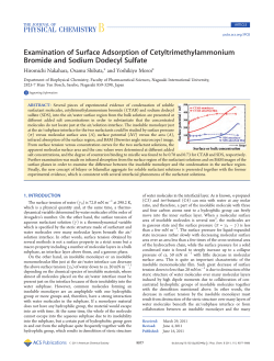 Examination of Surface Adsorption of Cetyltrimethylammonium