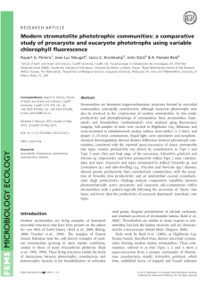 Modern stromatolite phototrophic communities