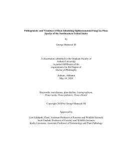 Pathogenicity and Virulence of Root