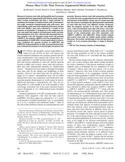 Mouse Mast Cells That Possess Segmented/Multi