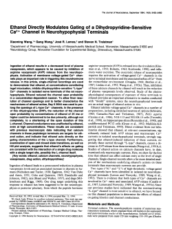 Ethanol Directly Modulates Gating of a Dihydropyridine