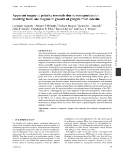 Apparent magnetic polarity reversals due to remagnetization