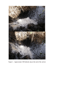 Figure 1. Approximate 10ft bedrock step at the end of the culvert.