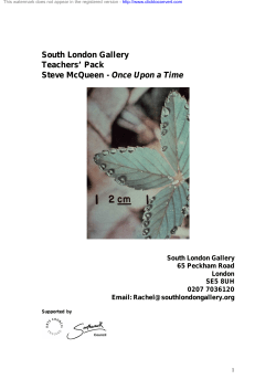 Teachers` Pack - South London Gallery