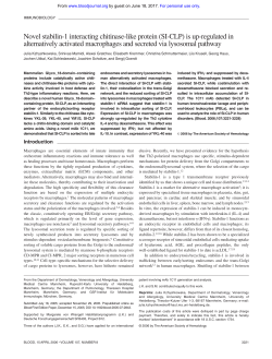 Novel stabilin-1 interacting chitinase-like protein (SI