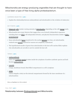 Mitochondria are energy-producing organelles that are