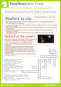news puzzle 331 - First News for Schools
