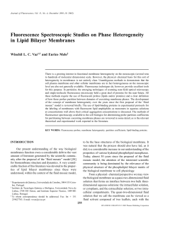 Fluorescence Spectroscopic Studies on Phase