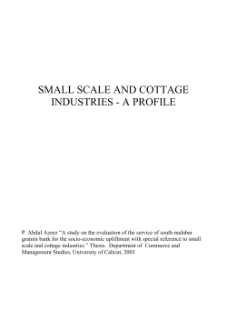 small scale and cottage industries - a profile