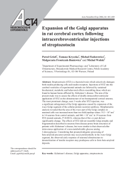 Expansion of the Golgi apparatus in rat cerebral cortex following