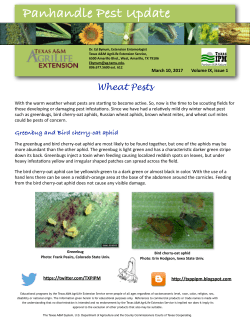 Panhandle Pest Update - AgriLife Extension County Offices
