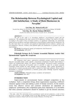 The relationship between psychological capital and job satisfaction