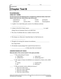 Chapter Test B