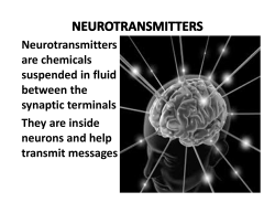 Neurotransmitters