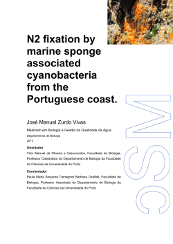 N2 fixation by marine sponge associated cyanobacteria from the