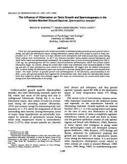 The Influence of Hibernation on Testis Growth and Spermatogenesis