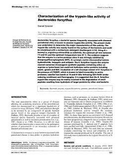 Characterization of the trypsin-like activity of