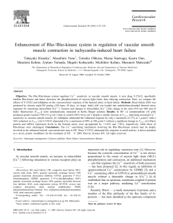 Enhancement of Rho/Rho-kinase system in regulation of vascular